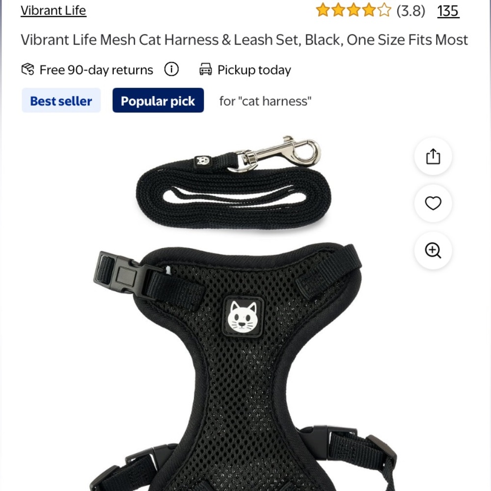 Cat Harness and Leash
